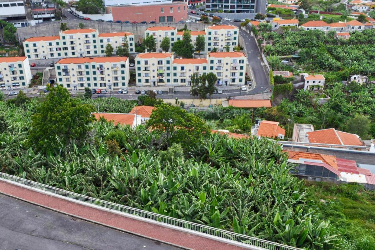 Design Gardens, A Home In Madeira Funchal  Exteriér fotografie